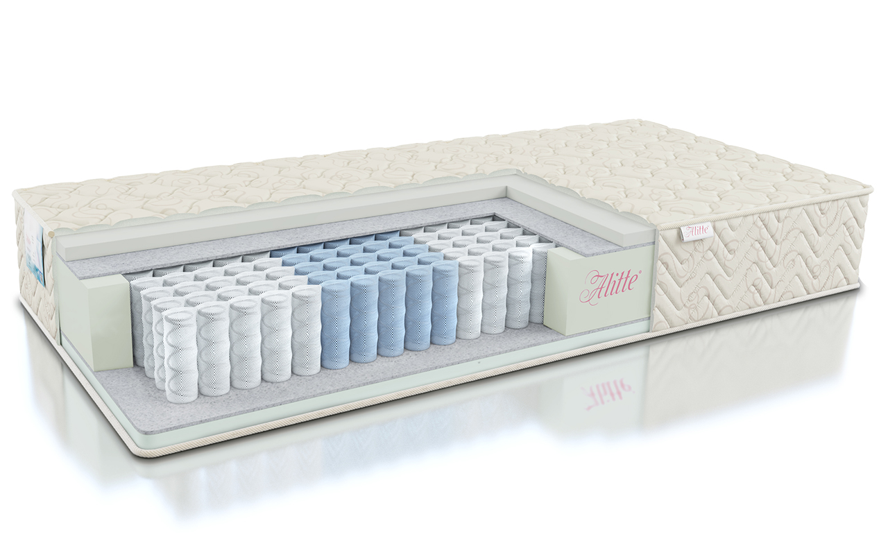 Alitte Classicus Gros TFK M-24-E